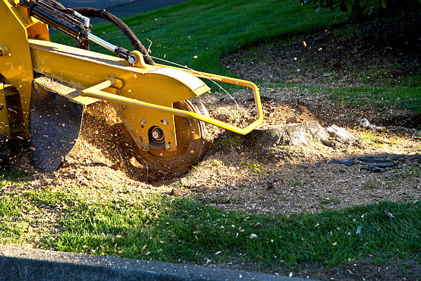 Mulching Services in Fox Lake, IL